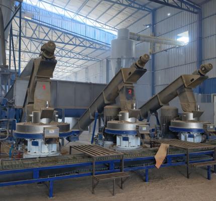 Bio Mass Pellet Plant
